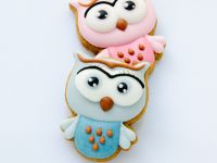 Owl cookies